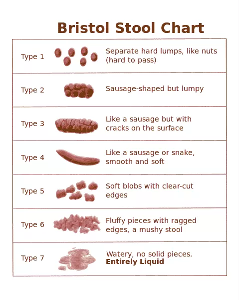 How to Use a Bristol Stool Chart to Identify Diarrhea photo 0