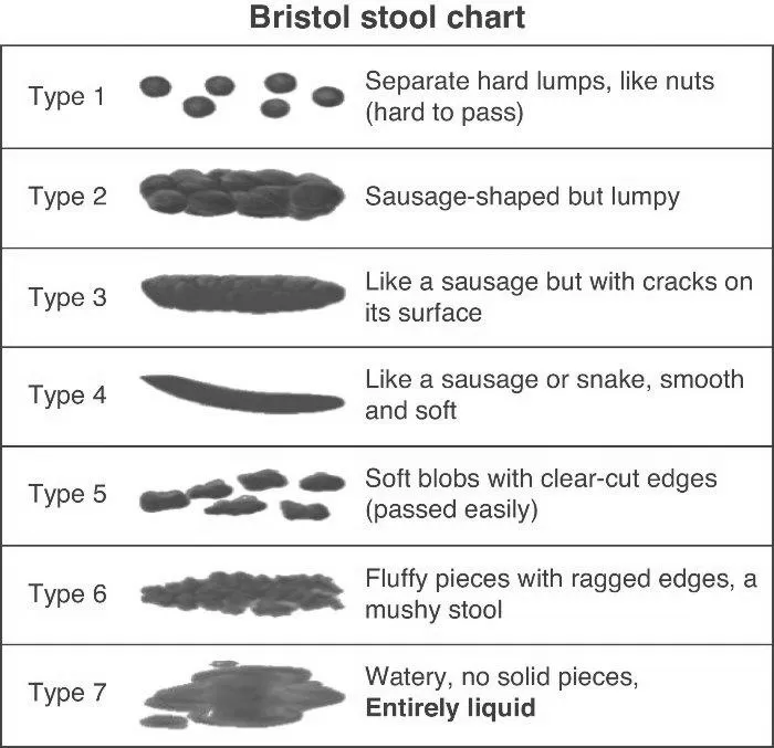 How to Use a Bristol Stool Chart to Identify Diarrhea photo 4