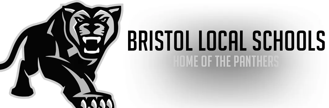 What District Is Bristol In? image 3