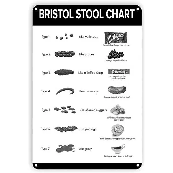 What is Bristol Like For Students? image 4
