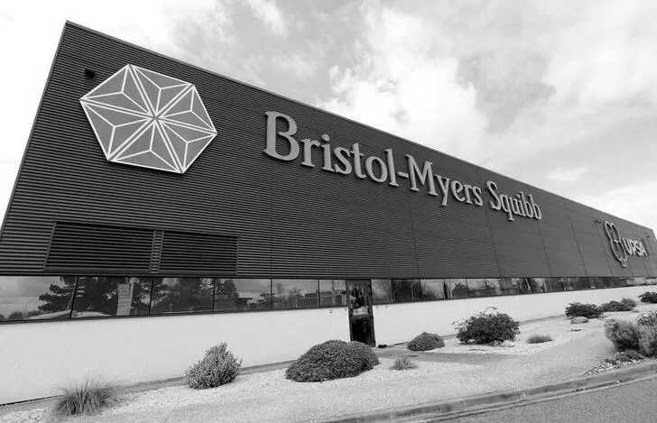 What Does Bristol Manufacturer the Most? photo 1