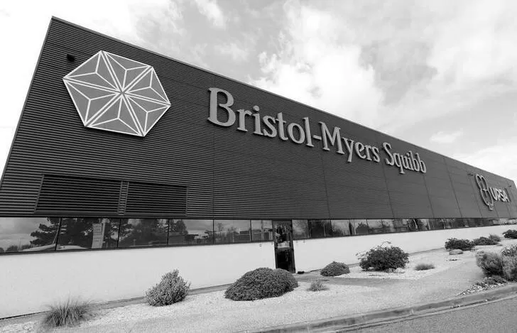 What Does Bristol Manufacturer the Most? photo 3